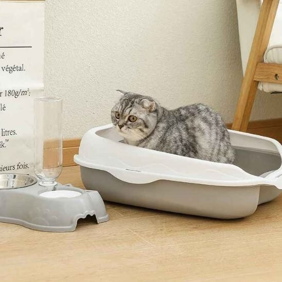 Bac à litière chat gris blanc chat aux toilettes