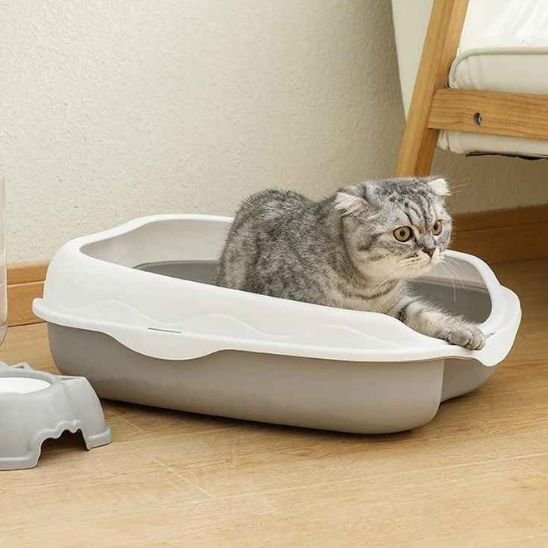 Bac à litière chat | Petit Coin Sans - Odeurs™ - Transportdodochat
