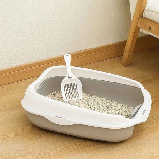 Bac à litière chat | Petit Coin Sans - Odeurs™ - Transportdodochat