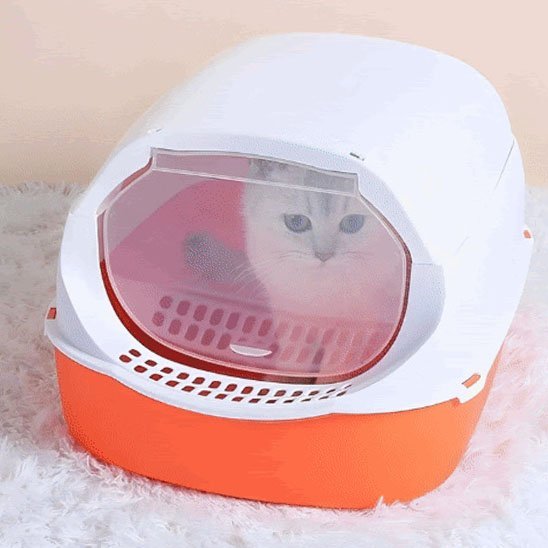 Bac à Litière pour Chat | LitiPure™ - Transportdodochat