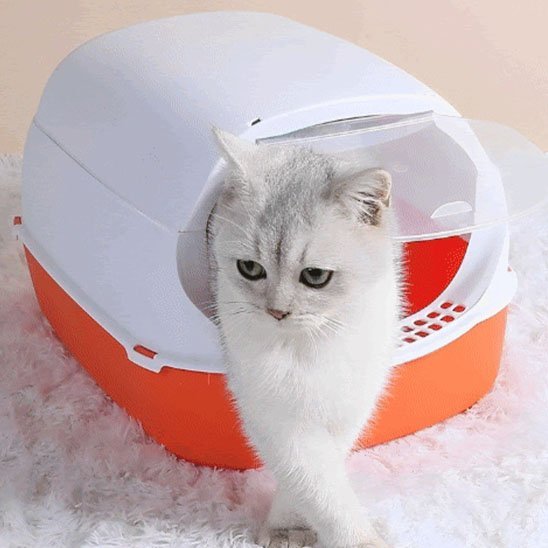 Bac à Litière pour Chat | LitiPure™ - Transportdodochat