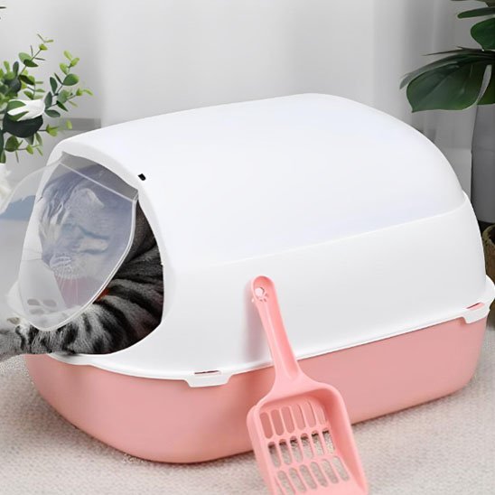 Bac à Litière pour Chat | LitiPure™ - Transportdodochat