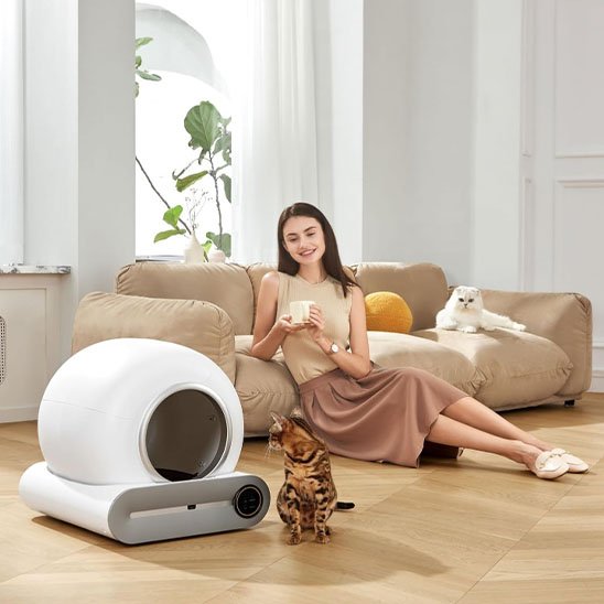 bac litière chat blanc chat satisfait