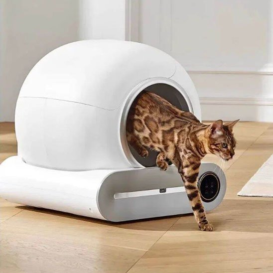 bac litière chat blanc chat sort de la litière