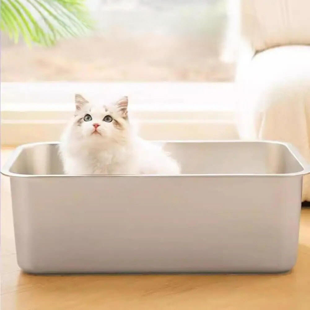 Bac litière Chat-chaton aux toilettes