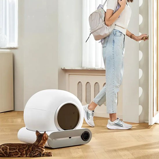 bac litière chat en décor