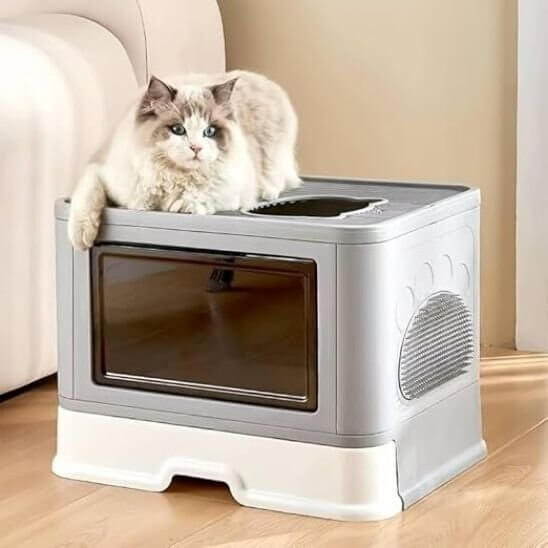 Bac litière chat gris blanc chat observe
