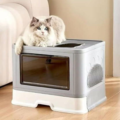 Bac litière chat gris blanc chat observe