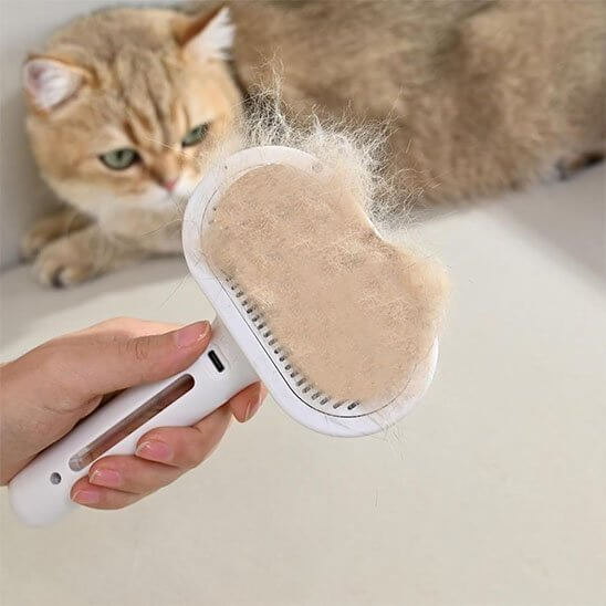 Brosse chat blanche avec poils morts ramassés