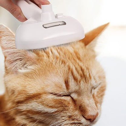 Brosse chat blanche en usage chat détendu