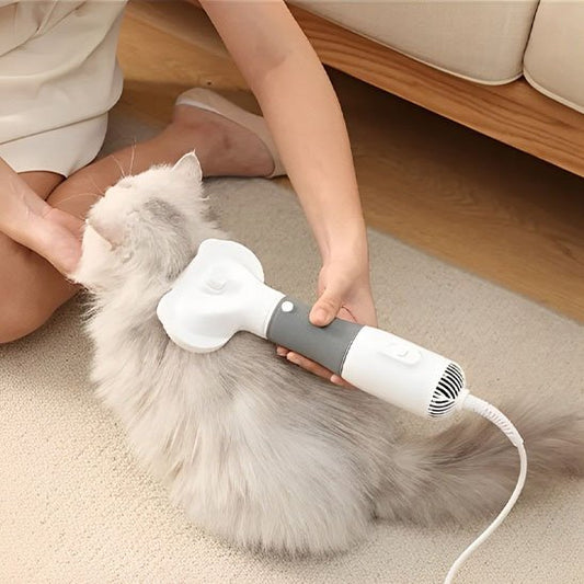 Brosse chat gris toilettage de chat