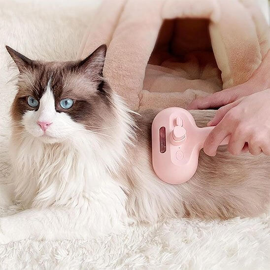 Brosse chat rose en action sur fourrure chat
