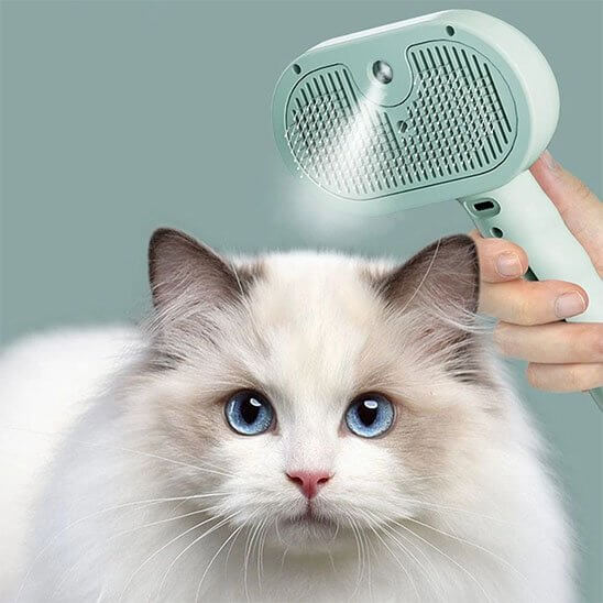 Brosse chat verte menthe avec spray en usage