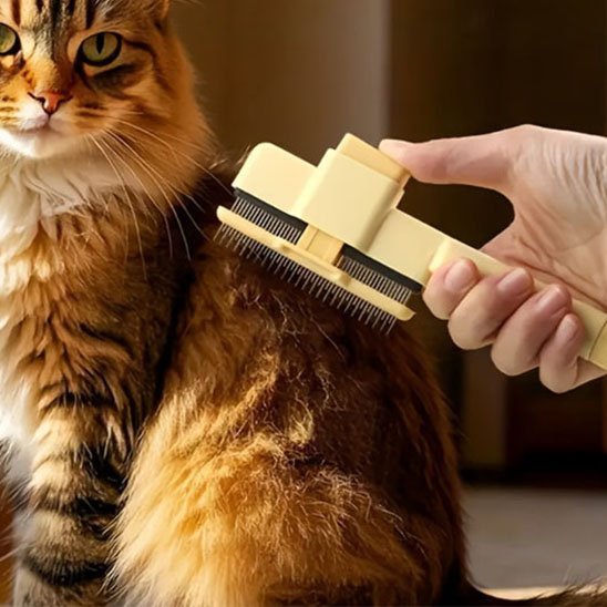 Brosse pour chat à poils longs| Chass'Poils™ - Transportdodochat