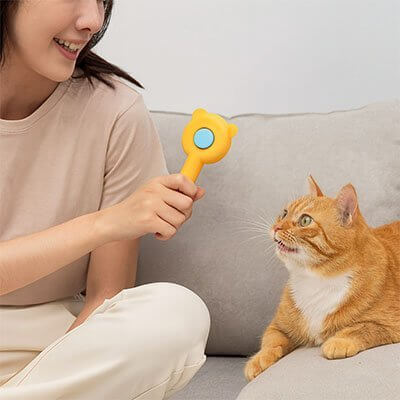 Brosse pour Chat orange chat coopératif