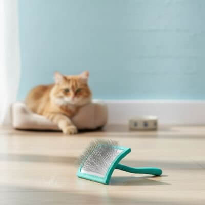 Brosse pour chat poils longs | MueClean™ - Transportdodochat