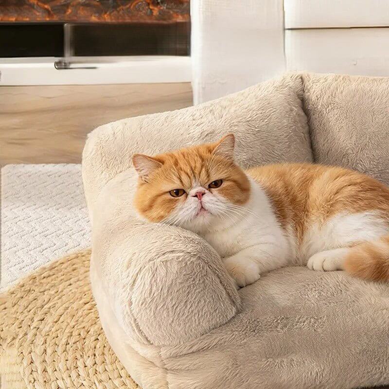 Canapé pour chats | Le Sofa des Ronrons™ - Transportdodochat