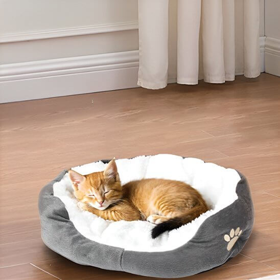 Cocooning Chat | Ronron Basket™ - Transportdodochat