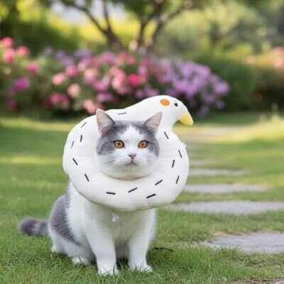 Collerette souple Chat | Canard Protecteur™ - Transportdodochat