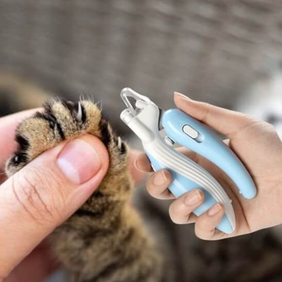 Coupe griffe chat | DouceGriffe Pro™ - Transportdodochat