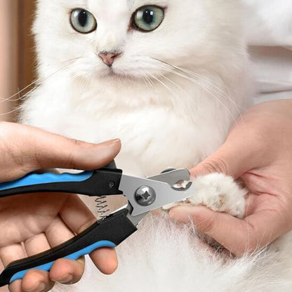 Coupe griffe chat | GriffeParfaite™ - Transportdodochat