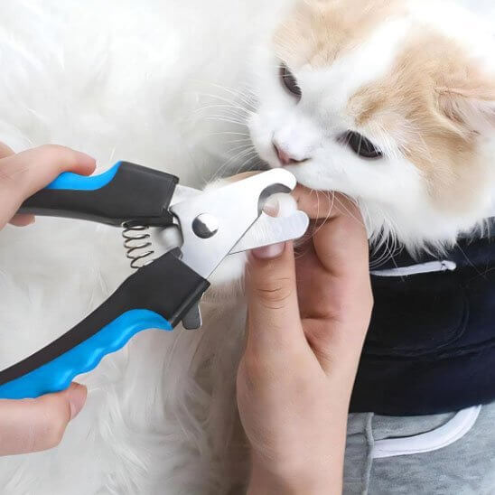 Coupe griffe chat | GriffeParfaite™ - Transportdodochat