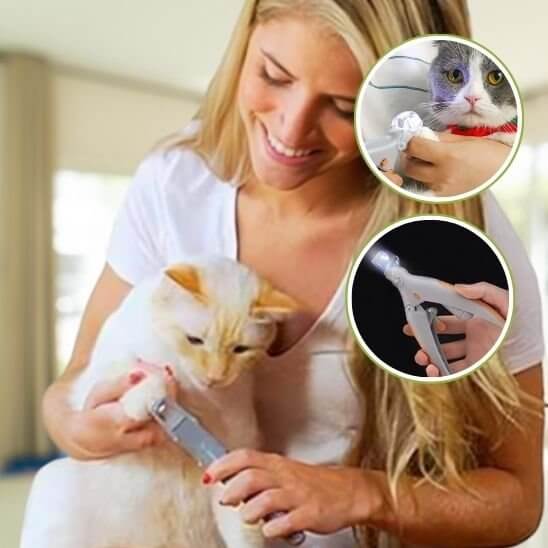 Coupe griffe pour chat | Éclat de Griffe™ - LED - Transportdodochat