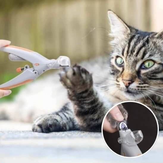 Coupe griffe pour chat | Éclat de Griffe™ - LED - Transportdodochat