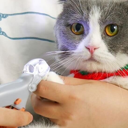 Coupe griffe pour chat | Éclat de Griffe™ - LED - Transportdodochat