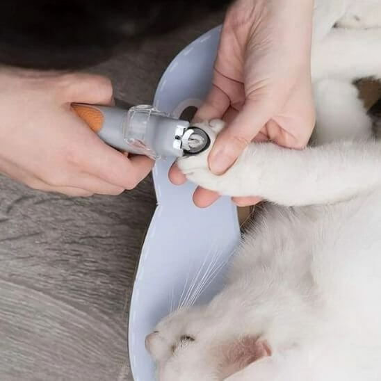 Coupe griffe pour chat | Éclat de Griffe™ - LED - Transportdodochat