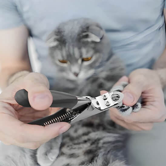 Coupe griffes pour chats | ClawCare™ - Transportdodochat