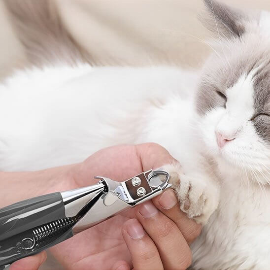 Coupe griffes pour chats | ClawCare™ - Transportdodochat