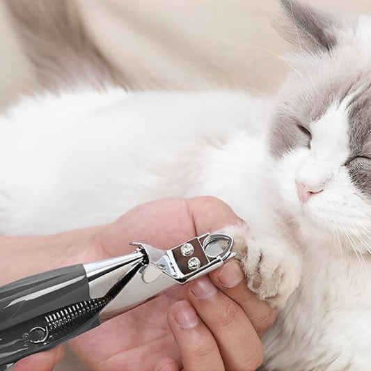 Coupe griffes pour chats | ClawCare™ - Transportdodochat