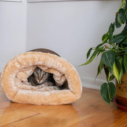coussin chat brun chat repos
