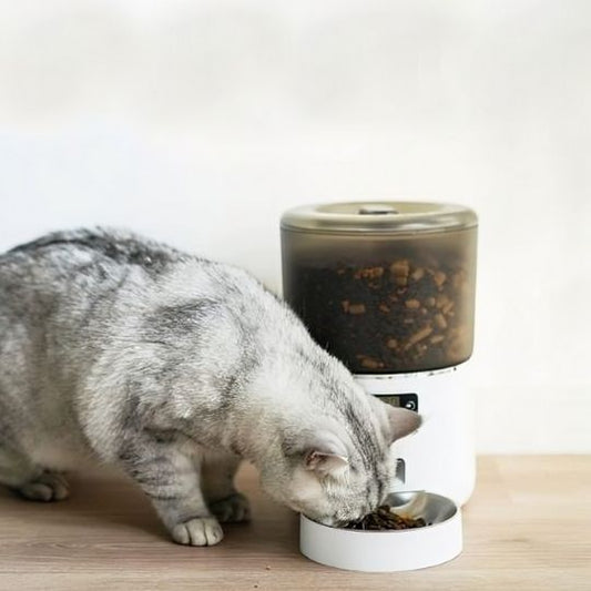 Distributeur automatique croquettes chat - Croq'Chrono™ - Transportdodochat