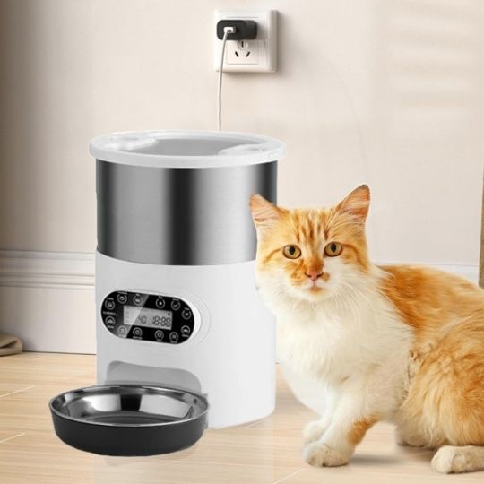 Distributeur automatique croquettes chat sans WIFI chat veut manger
