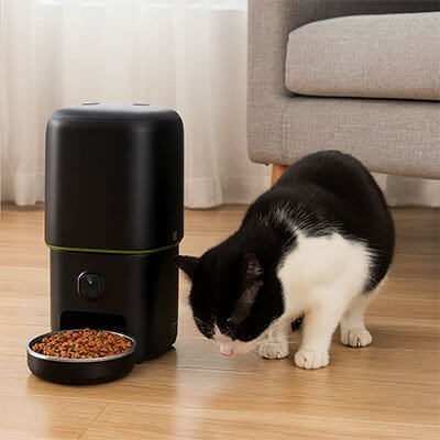 Distributeur automatique croquettes vert Chat connecté chat satisfait