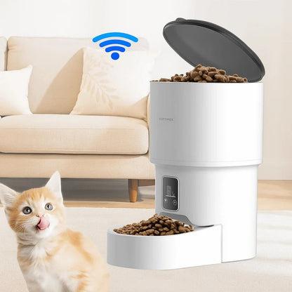 Distributeur automatique de croquettes chat blanc chat impatient