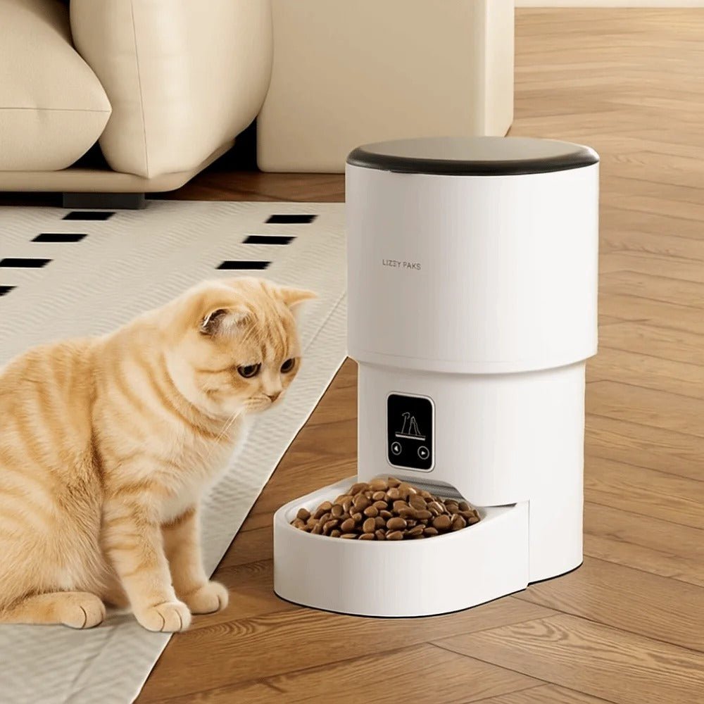 Distributeur automatique de croquettes chat blanc chat veut manger