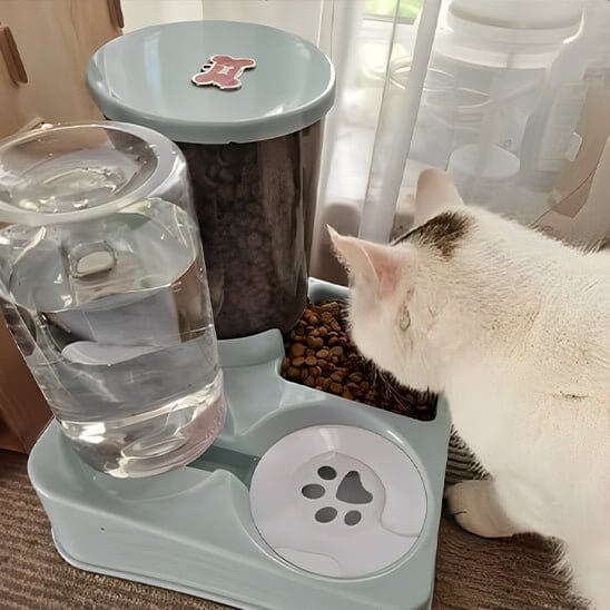 Distributeur automatique de croquettes pour chat turquoise chat mange
