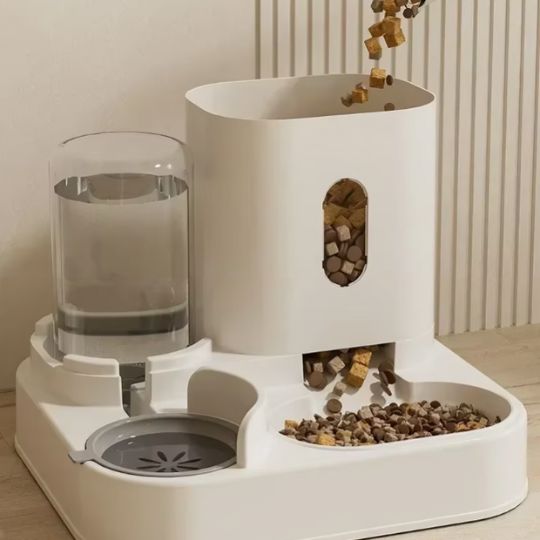 Distributeur croquette chat gris entrain de se faire remplir