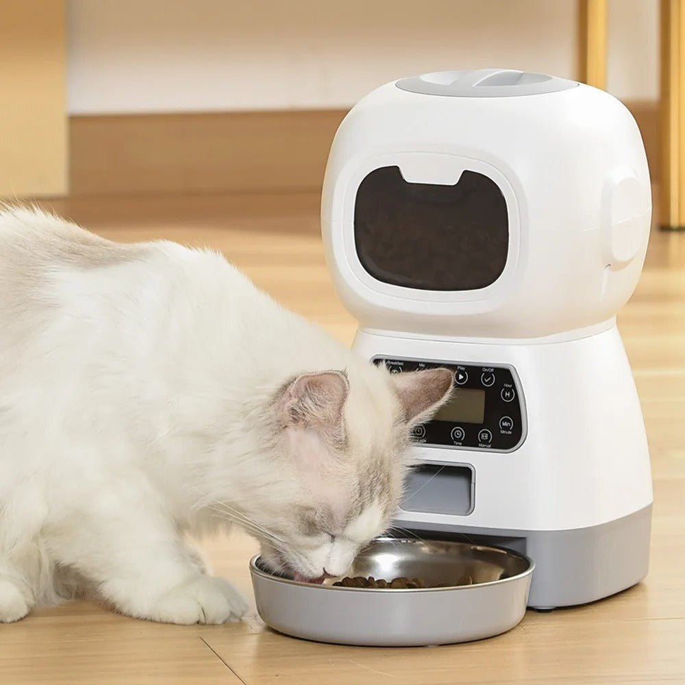 Distributeur croquettes chat- chat mange avec appétit