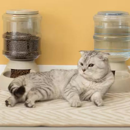 Distributeur croquettes chat - Buffet Miaou De Luxe™ - Transportdodochat