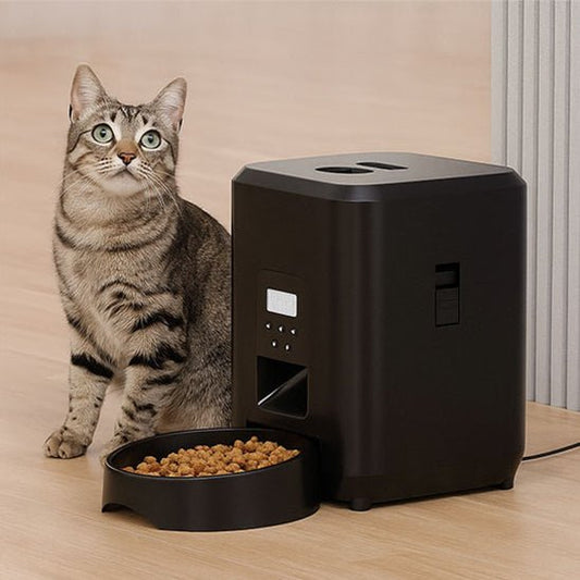 Distributeur de croquettes pour chat brun chat satisfait