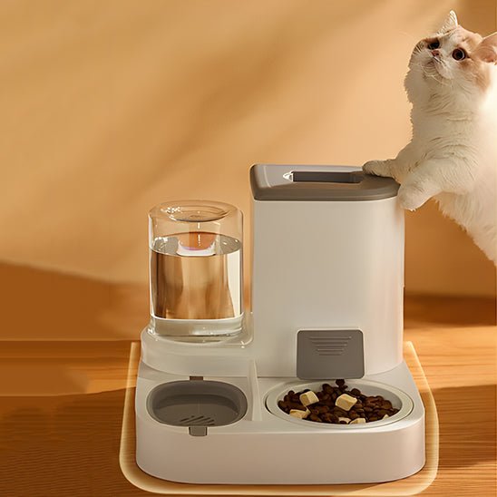 Distributeur mixte croquettes fontaine pour chat brun chat joue