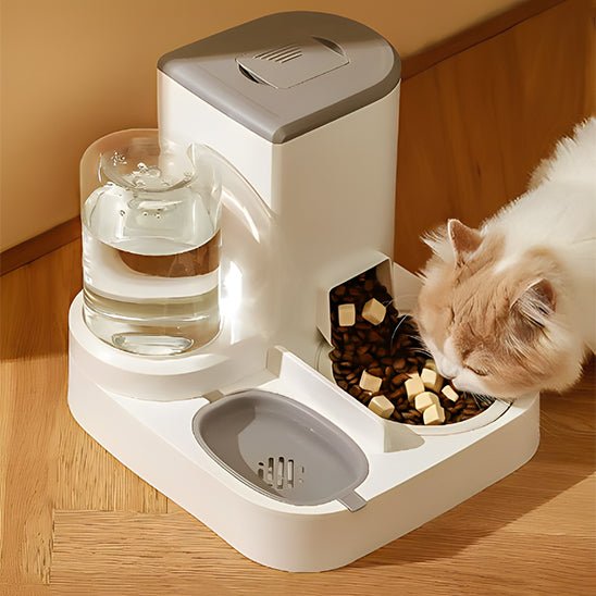 Distributeur mixte croquettes fontaine pour chat brun chat se nourrit