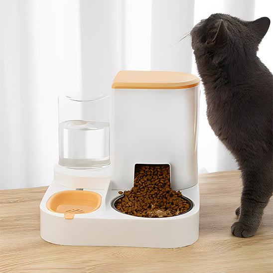 Distributeur mixte croquettes fontaine pour chat orange chat distrait