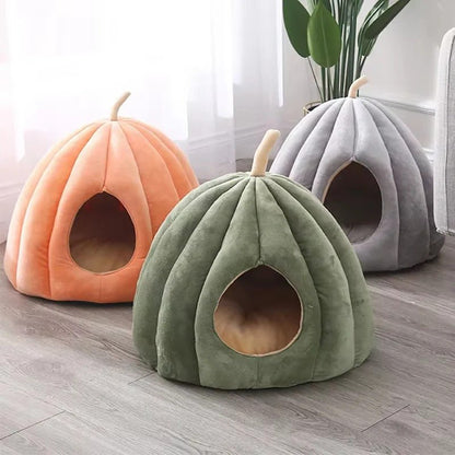 Dome pour chat - Transportdodochat