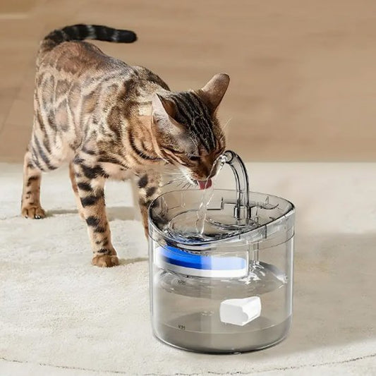 Fontaine à eau chat | Silentflow™ - Transportdodochat