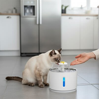 Fontaine à eau Chat-chat invité à boire